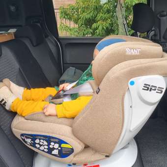 Автокресло Rant Nitro Isofix 0+/1/2/3 (0-36 кг) бежевый: отзыв пользователя Детский Мир
