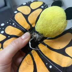 Фото отзыва 10611053