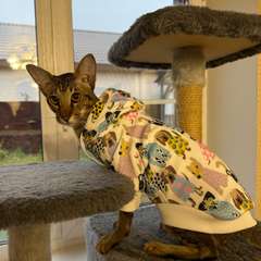 Фото отзыва 10564455