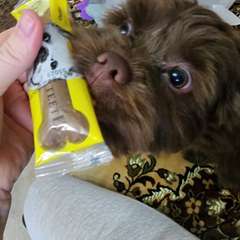 Фото отзыва 10747208