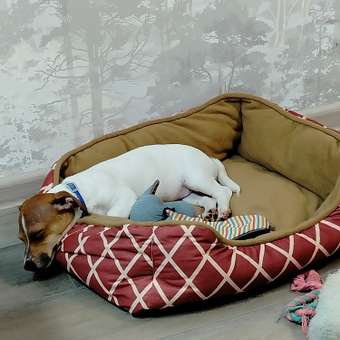 Лежанка для собак Не один дома Уютный уголок 860019-02rLR2re: отзыв пользователя. Зоомагазин Зоозавр