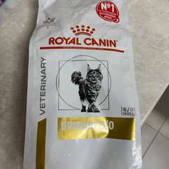 Фото отзыва 10819064