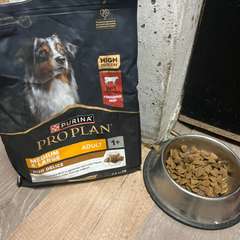 Фото отзыва 10727194