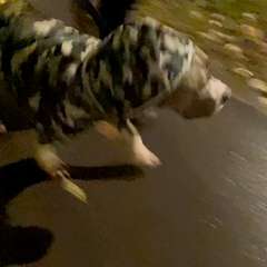Видео отзыва 7673897
