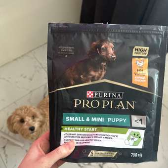 Корм сухой для щенков PRO PLAN HEALTHY START 700г с курицей для мелких и карликовых пород: отзыв пользователя. Зоомагазин Зоозавр