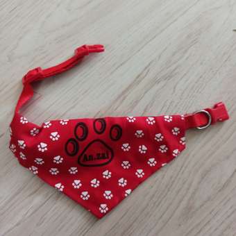 Ошейник для собак Rabizy Лапки 48 см: отзыв пользователя. Зоомагазин Зоозавр