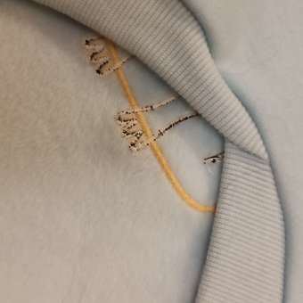 Толстовка для собак и кошек Зоозавр: отзыв пользователя. Зоомагазин Зоозавр