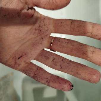 Толстовка Futurino: отзыв пользователя Детский Мир