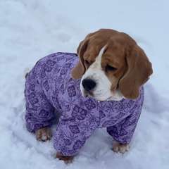 Фото отзыва 11215145