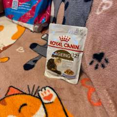 Фото отзыва 10488437