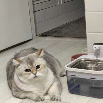 Корм для кошек ROYAL CANIN Urinary Care для поддержания здоровья мочевыделительной системы 85г: отзыв пользователя. Зоомагазин Зоозавр