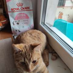 Фото отзыва 10757464