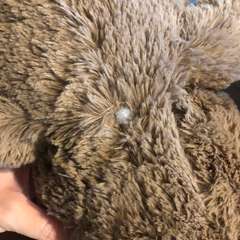 Фото отзыва 10743891