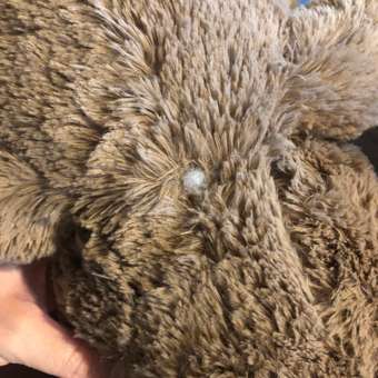 Мягкая игрушка Tallula мишка: отзыв пользователя Детский Мир