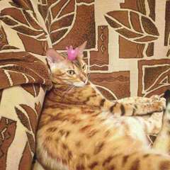 Фото отзыва 10802409