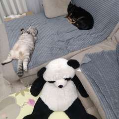 Фото отзыва 10964502