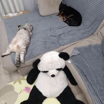 Корм сухой для собак PRO PLAN SENSITIVE SKIN 3 кг с лососем для средних пород: отзыв пользователя. Зоомагазин Зоозавр