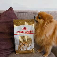 Фото отзыва 10540544