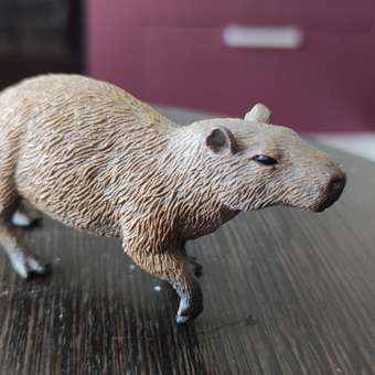 Фигурка Collecta Капибара: отзыв пользователя Детский Мир