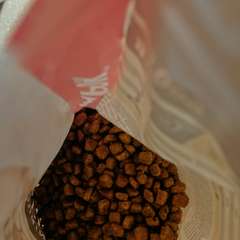 Фото отзыва 10826641