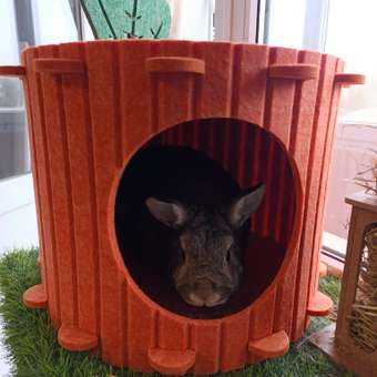 Домик Barbaks Морковка из фетра 37*37*29см: отзыв пользователя. Зоомагазин Зоозавр