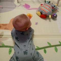 Фото отзыва 10708128