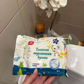 Влажная туалетная бумага BabyGo 42 шт.: отзыв пользователя ДетМир