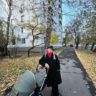 Коляска трансформер Tomix Sunny зеленый: отзыв пользователя Детский Мир