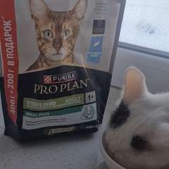 Фото отзыва 10944821