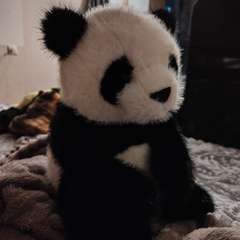 Фото отзыва 10866880