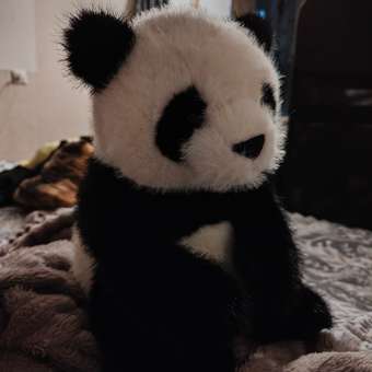 Мягкая игрушка Aurora панда Sitting: отзыв пользователя Детский Мир