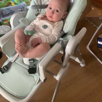 Стульчик для кормления Babyton Multiset Mint классический: отзыв пользователя Детский Мир