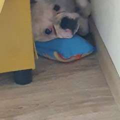 Фото отзыва 9902175