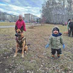 Фото отзыва 11267518