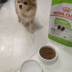 Фото отзыва 11038443