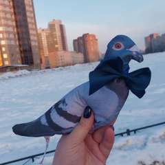 Фото отзыва 11067107