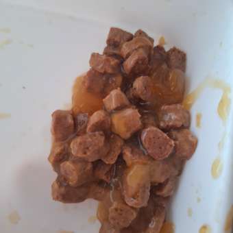 Корм для кошек Pet-a-Pet 85г взрослых с чувствительным пищеварением Кусочки с белой рыбой в желе пауч: отзыв пользователя. Зоомагазин Зоозавр