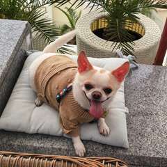 Фото отзыва 10855396