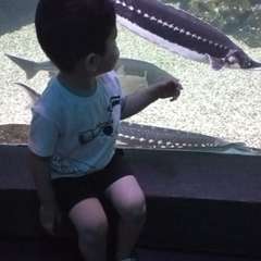 Фото отзыва 9768817