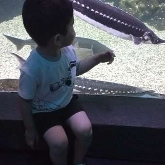 Пижама Ми-ми-мишки: отзыв пользователя Детский Мир