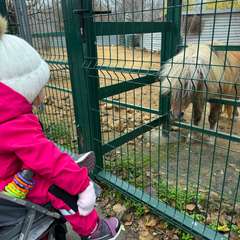 Фото отзыва 10914747