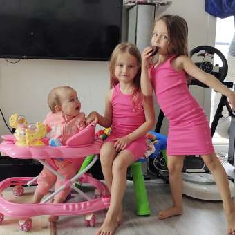 Ходунки Babyton Pink: отзыв пользователя Детский Мир