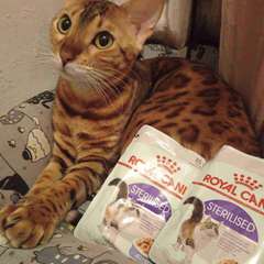 Фото отзыва 10458374