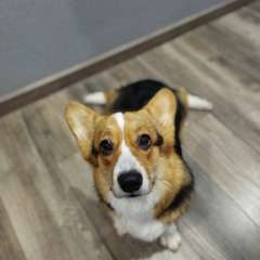 Фото отзыва 11032613