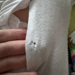 Фото отзыва 10592596