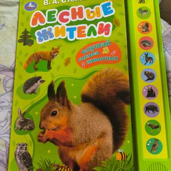 Книга Умка Лесные жители Степанов: отзыв пользователя Детский Мир