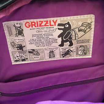 Рюкзак Grizzly: отзыв пользователя ДетМир