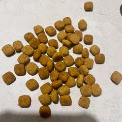 Фото отзыва 10432166