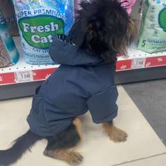 Фото отзыва 5310928