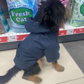 Куртка для собак Zoozavr тёмно-синяя 30: отзыв пользователя. Зоомагазин Зоозавр